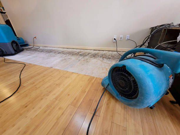 Professional Structural Drying technician working in Cortland, NY